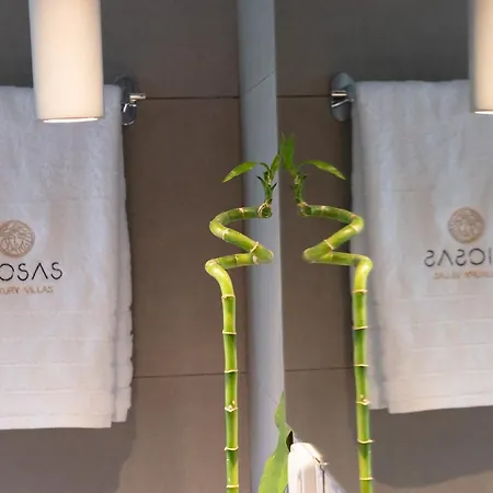 Diosas Luxury Βίλα *